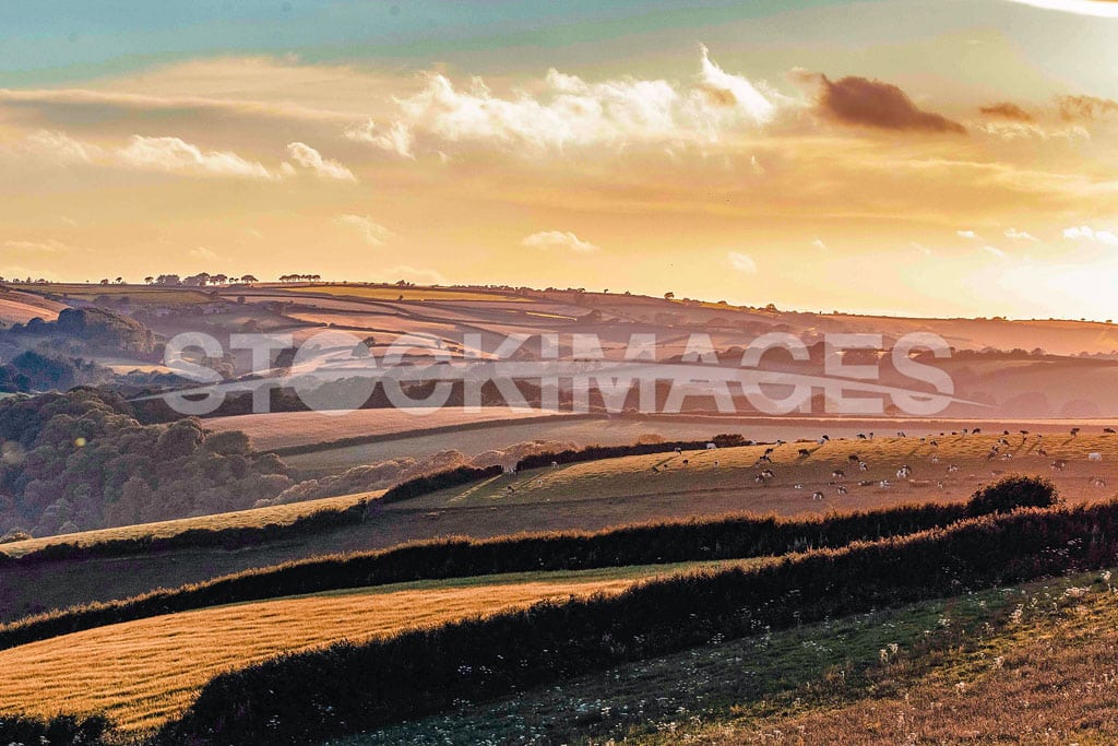 A stunning golden hour view of the rolling hills from the public footpath at Strete towards Blackawton, Devon.