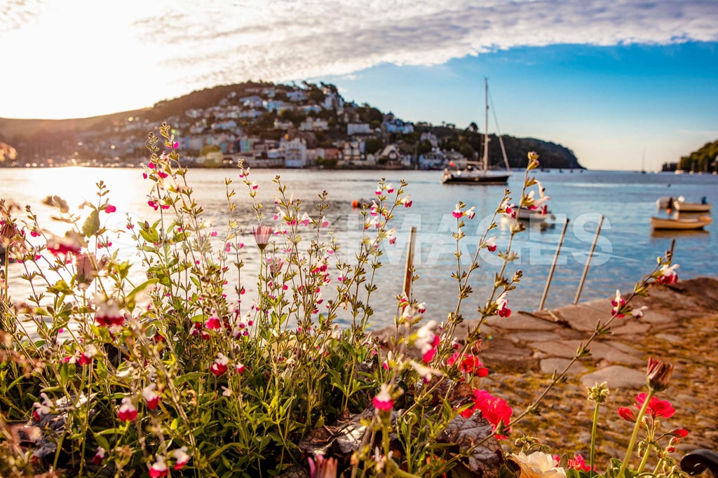 Early morning view over the summer flowers at Dartmouth's iconic Bayards Cove in the Summer.