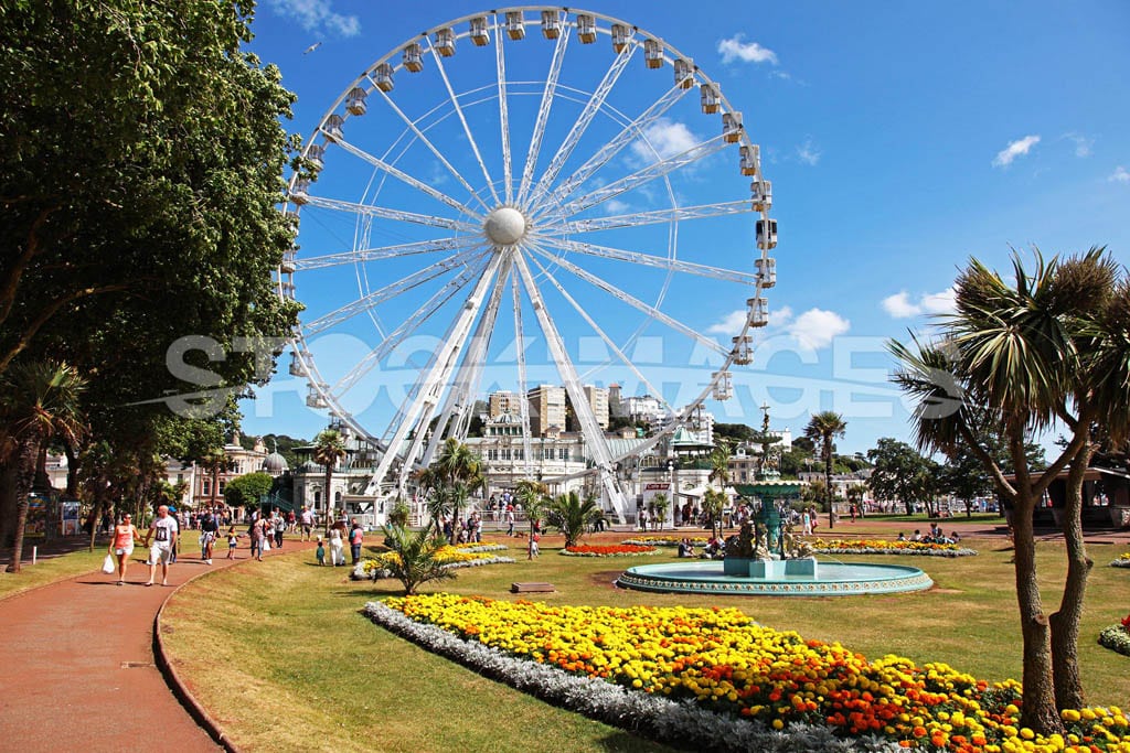 Summer visitors walk along the Englsih Riviera next to the Ferris Wheel at Toquay on a warm, vibrant day with golden flower beds surrounding the fountain.