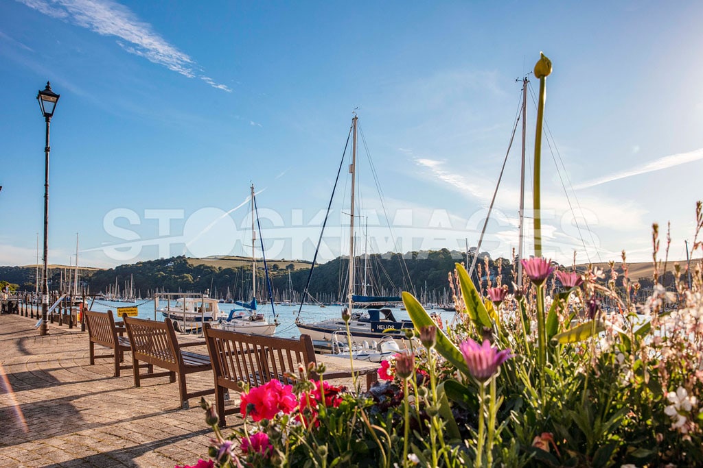 A view of the River Dart at the South Embankment benches, taken through vibrant blooming flowers.
