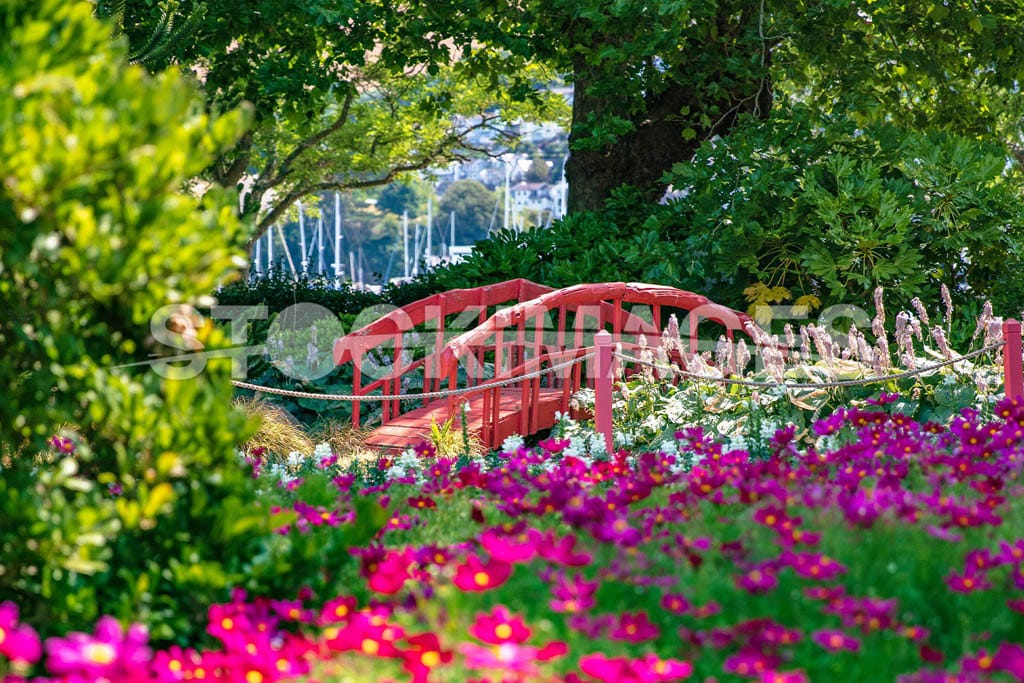 Image of the Japanese Bridge in Dartmouth's Royal Avenue Gardens surrounded by colourful flowers in bloom.
